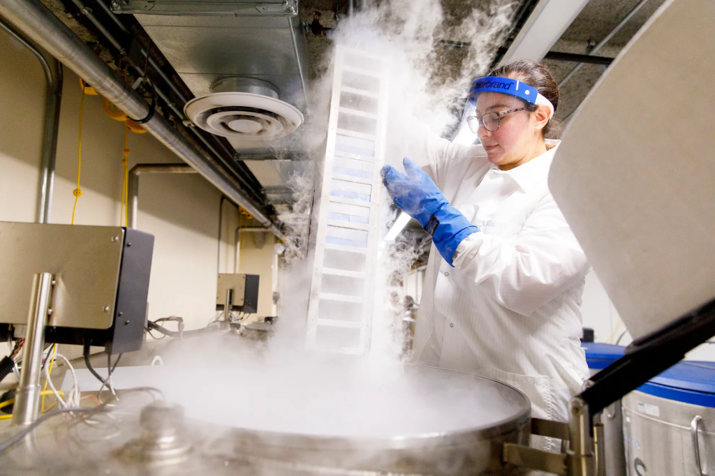A researchers handling a refrigerated item