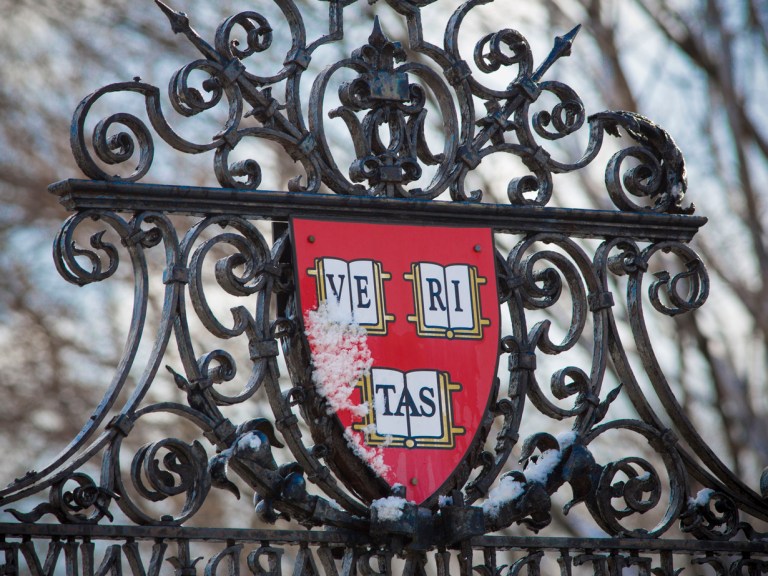 A veritas shield on a gate frosted with snow