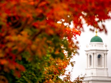 Foliage and Elliot House tower.