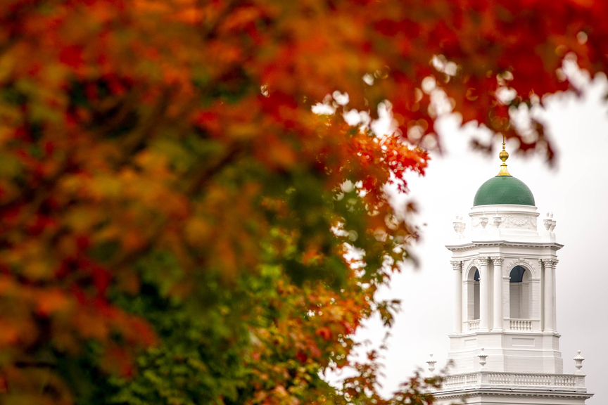Foliage and Elliot House tower.