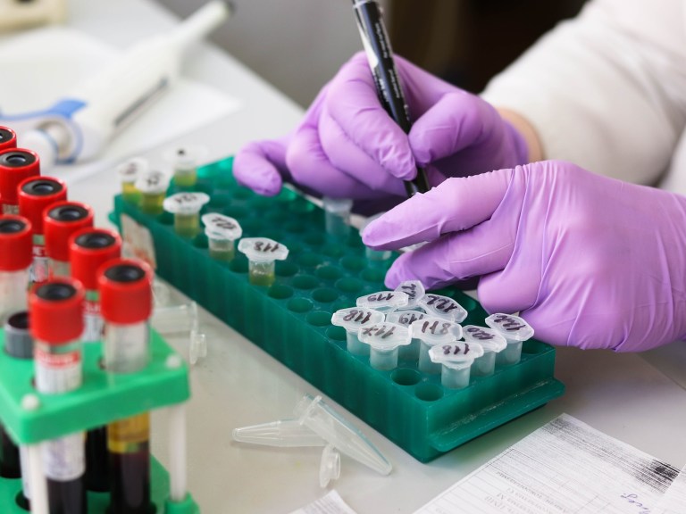 A person with gloves labeling test tubes